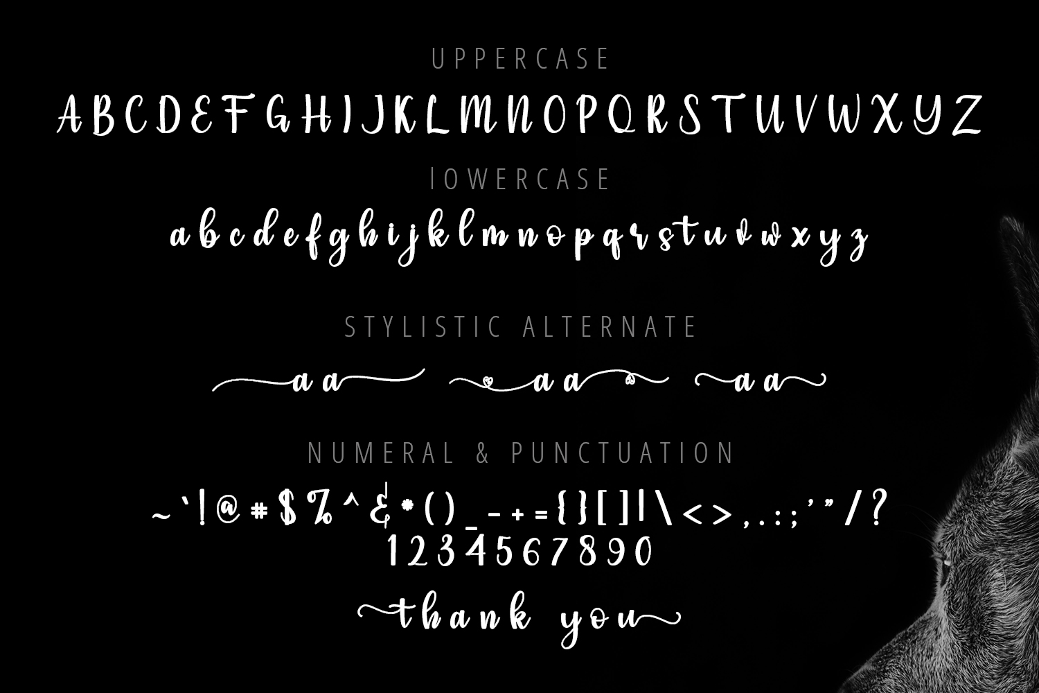 Simple Script, Fonts GraphicRiver